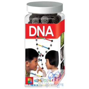 조노돔 DNA 키트-칭찬나라큰나라