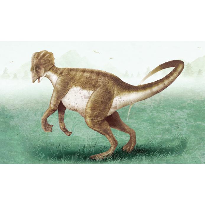 공룡(미크로케라톱스)현수막-004-칭찬나라큰나라