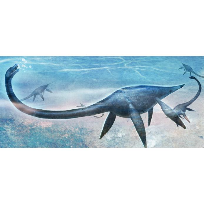 공룡(에라스모사우루스)현수막-010-칭찬나라큰나라