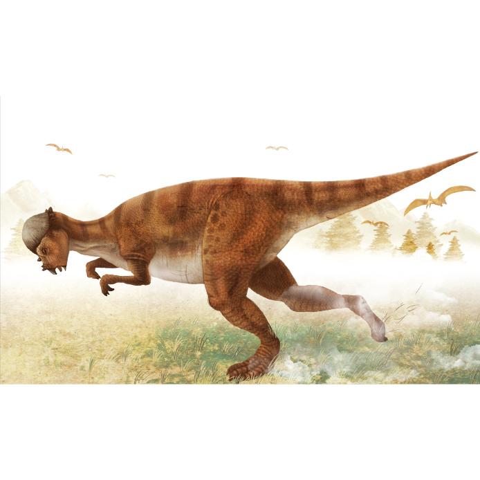 공룡(파키케팔로사우루스)현수막-012-칭찬나라큰나라