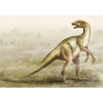 공룡(에우파르케이라)현수막-014-칭찬나라큰나라