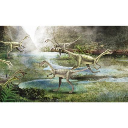 공룡(콤프소구나투스)현수막-020-칭찬나라큰나라