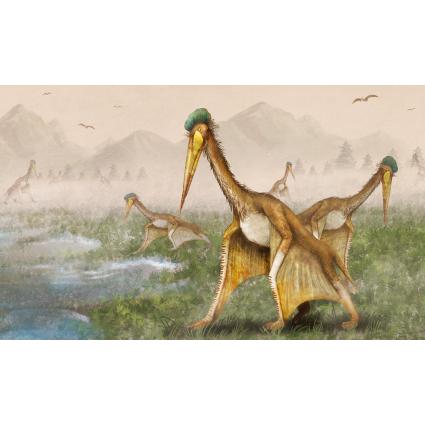 공룡(케찰코아툴루스)현수막-021-칭찬나라큰나라