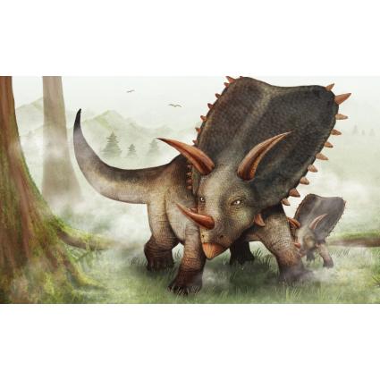 공룡(펜타케라톱스)현수막-024-칭찬나라큰나라