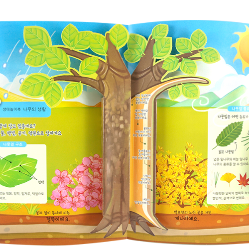 펀북 생태 나무 박물관 DIY 팝업북 만들기-칭찬나라큰나라
