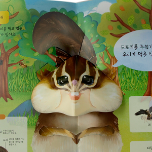 펀북 생태 귀여운 다람쥐 DIY 팝업북 만들기
